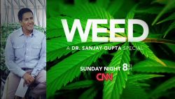 Gupta Weed Promo_00002830.jpg