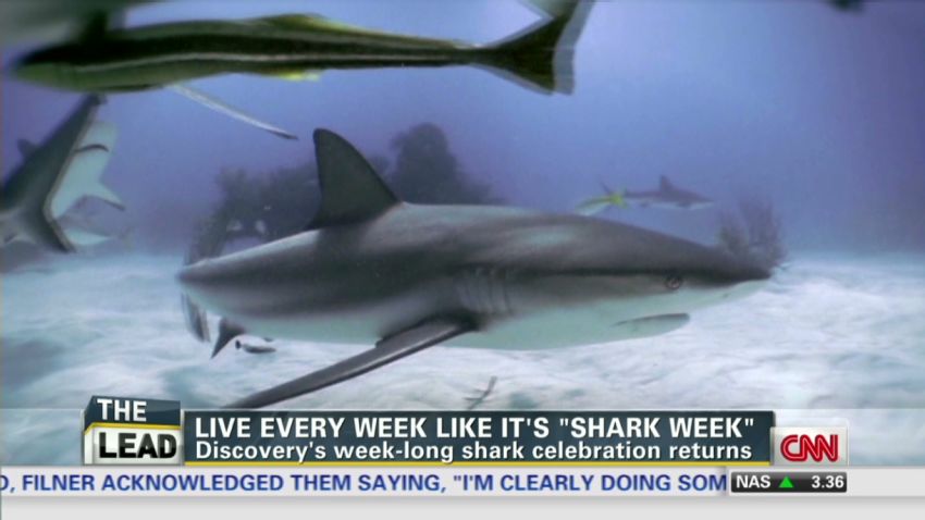 Lead pkg Shark Week_00000806.jpg