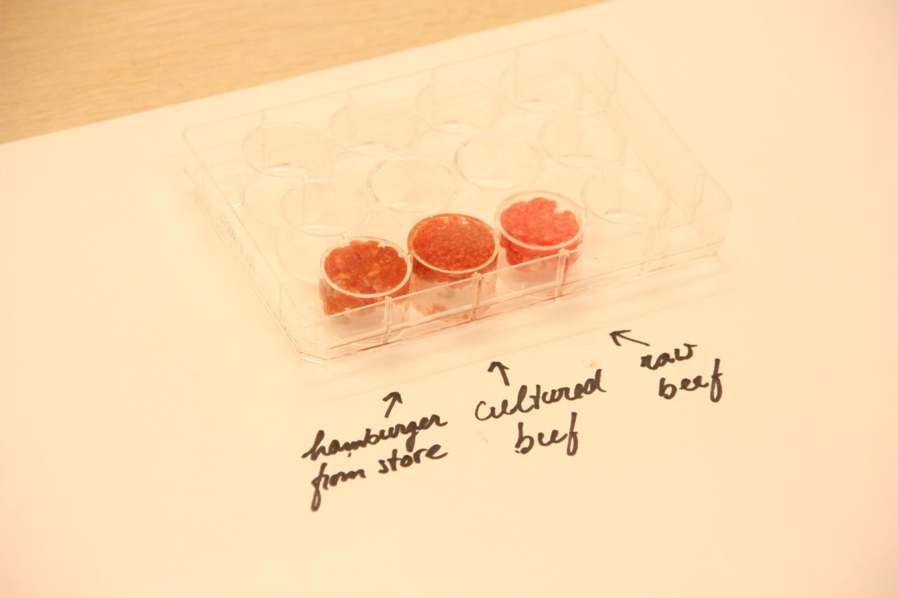 The world's first in vitro hamburger cost £250,000 to create, but scientists believe this test tube grub will provide a sustainable alternative to beef