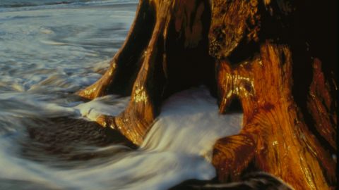 Olympic National Park in Washington state dropped one spot to sixth place last year.