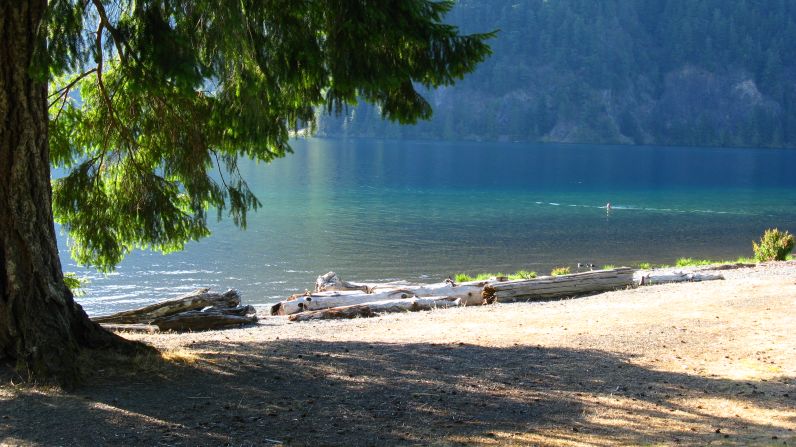 Lake Crescent was carved by a glacier and is more than 600 feet deep.