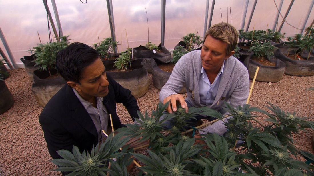 The brothers started the <a href="http://realmofcaring.com/" target="_blank" target="_blank">Realm of Caring Foundation</a>, a nonprofit organization that provides cannabis to adults and children suffering from a host of diseases. Here Josh Stanley, right, gives CNN's Dr. Sanjay Gupta a tour.<br />