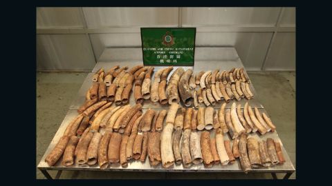 Tusks seized by Hong Kong customs earlier this month. They were shipped from Burundi before being discovered during transit.  