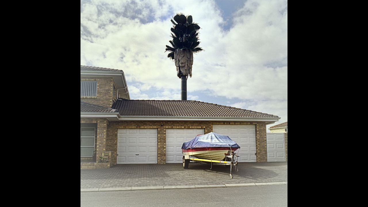 South African photographer Dillon Marsh traveled around Cape Town searching for trees with an ulterior motive. Cell phone towers disguised as trees have popped up all around South Africa. Marsh <a href="http://www.dillonmarsh.com/invasivespecies.html" target="_blank" target="_blank">states on his website</a> that his project "Invasive Species" looks at these covert towers and their surroundings in Cape Town. Above, a tower looms over the suburb Brackenfell South.