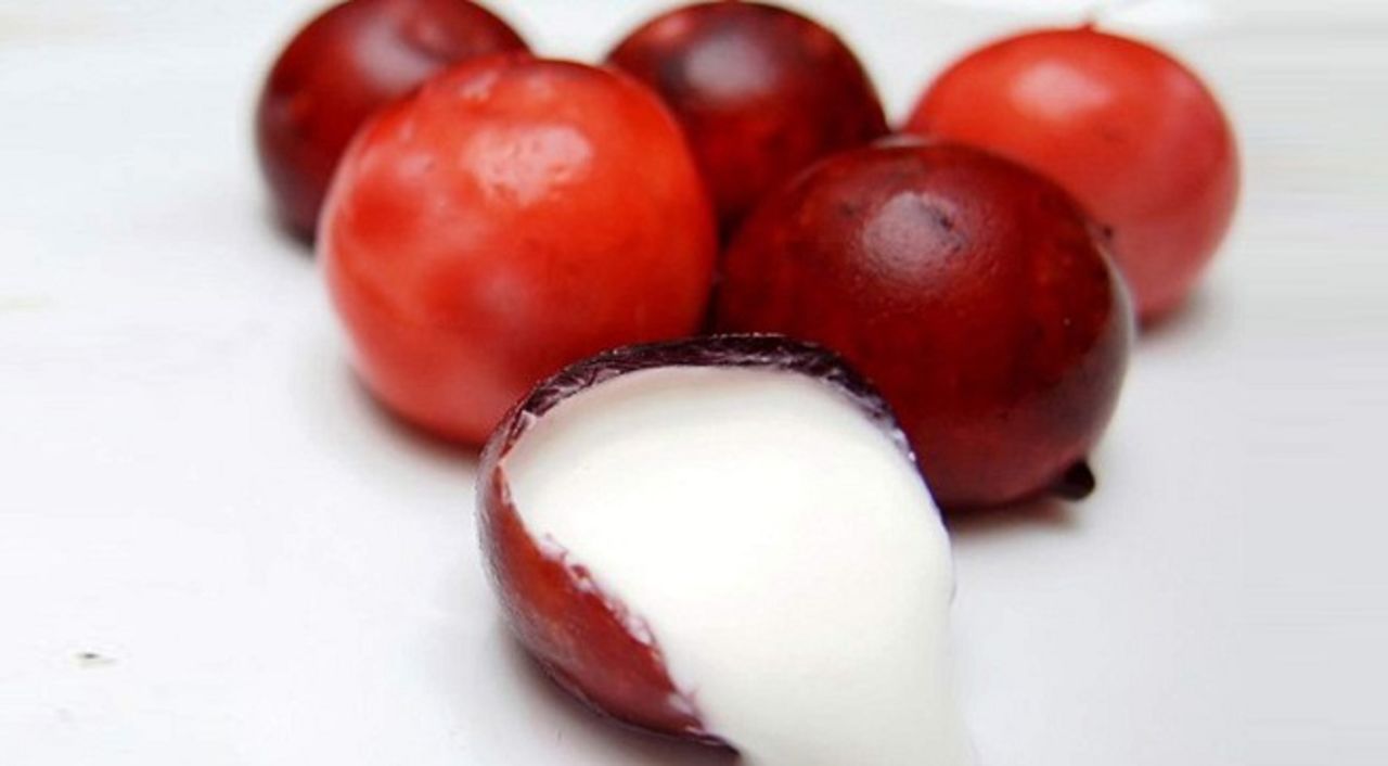 Wikipearl draws inspiration from the magic of grape skins and by doing so eliminates plastic from foods and beverages. The technology, called Wikicells, is a soft edible membrane made from calcium ions and natural foodstuff.