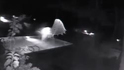 dnt UFO in florida pool _00002314.jpg