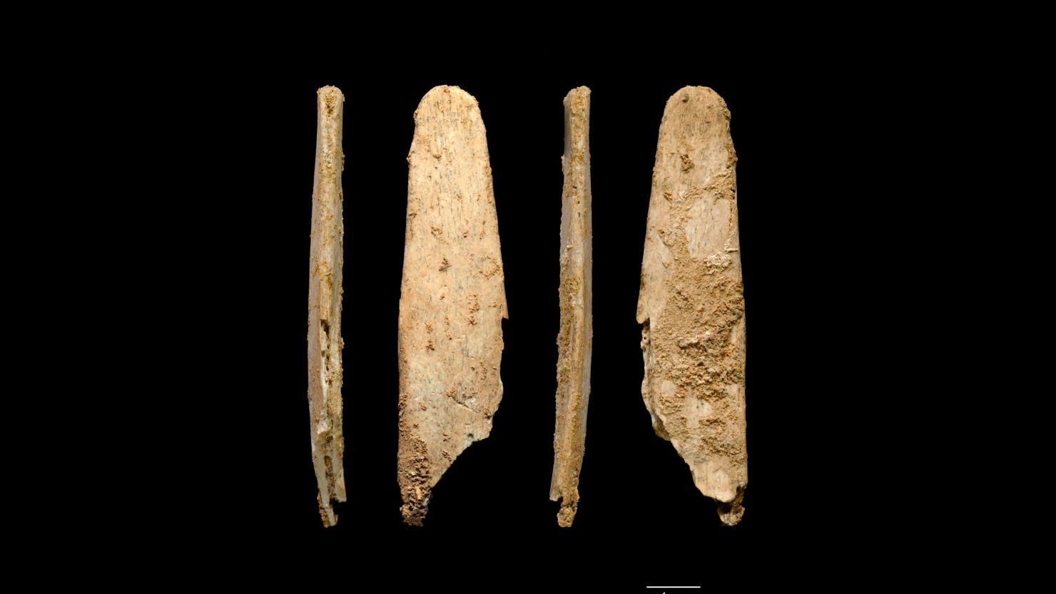 These are four views of the most complete lissoir bone tool found during excavations at the Neanderthal site of Abri Peyrony, France.