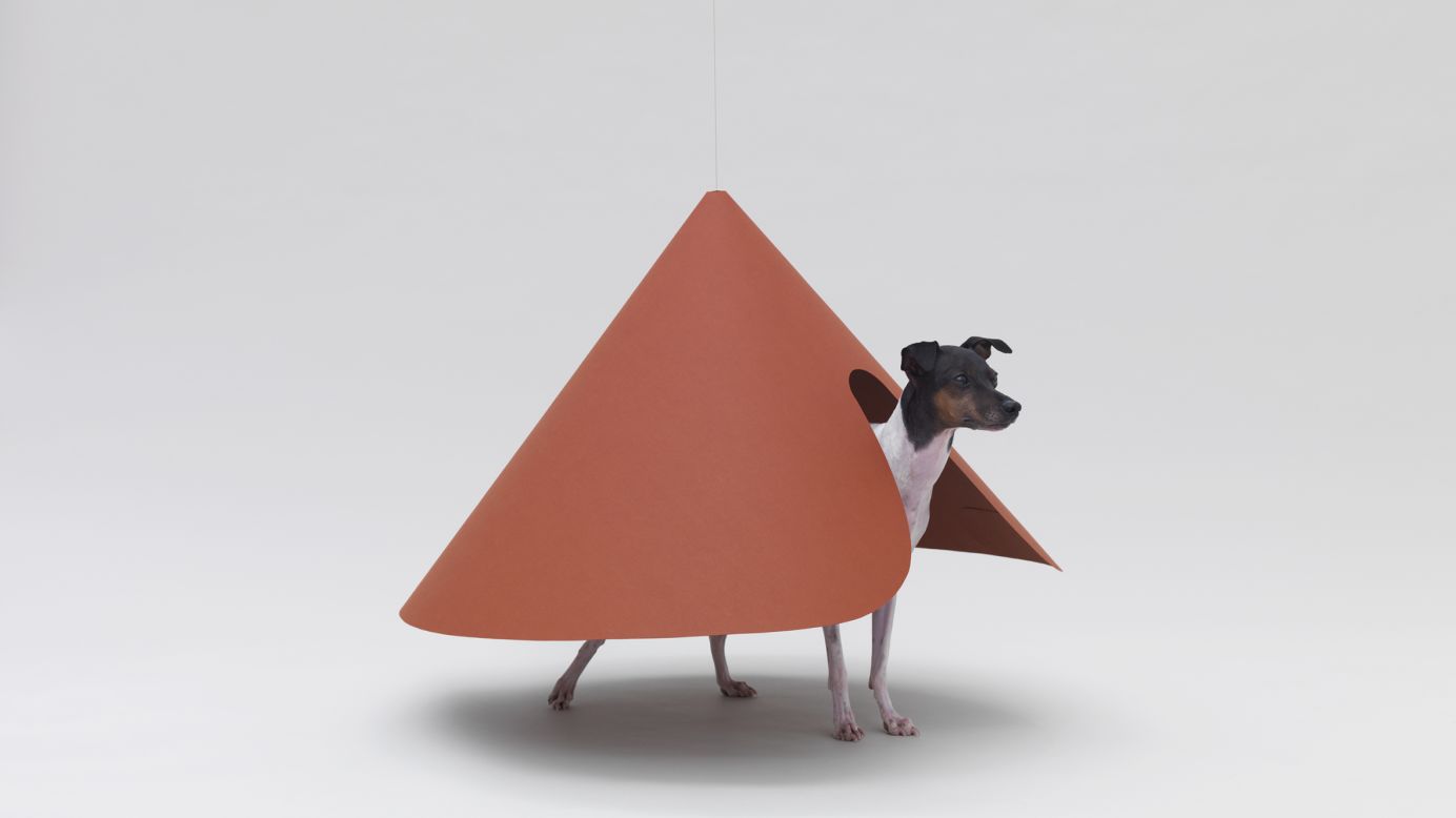 The Hara Design Institute's "Pointed T" is built specifically for a Japanese Terrier. The curved opening in the suspended cone allows the dog to enter and exit the house.