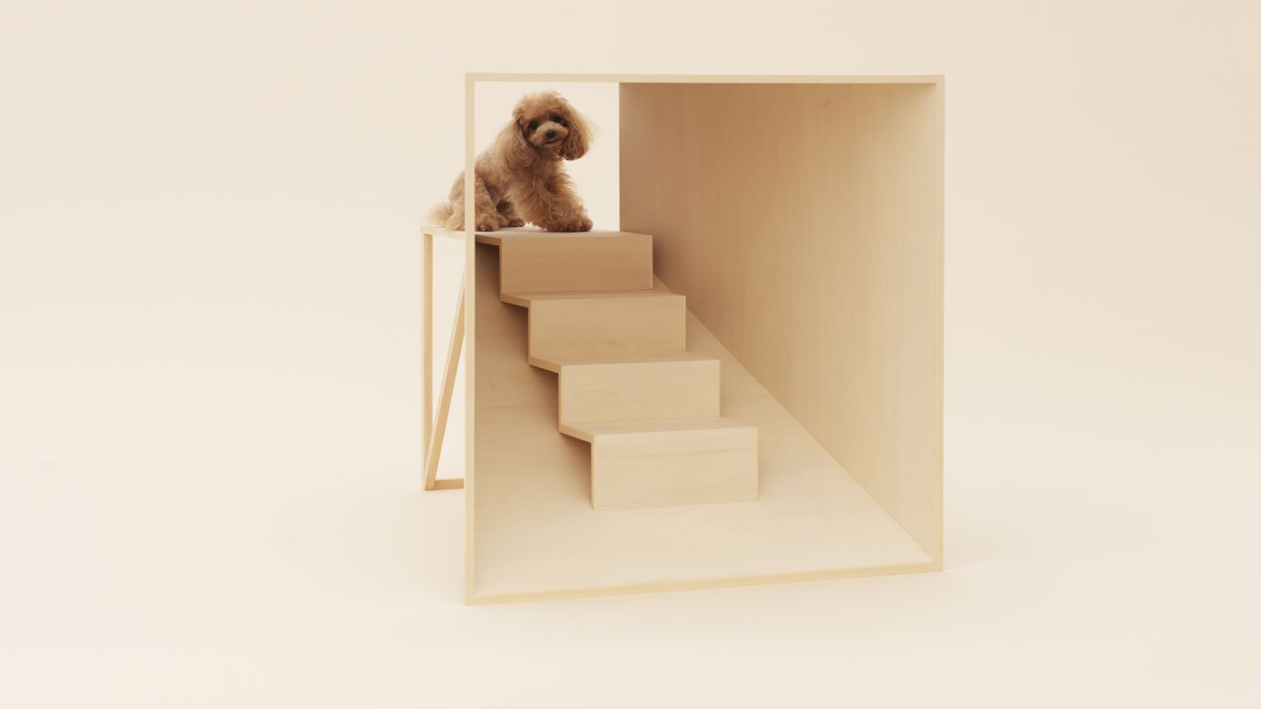 Kenya Hara's "D-Tunnel" is especially designed for a teacup poodle. When the poodle enters the house, he climbs stairs to a platform, allowing him to see from a much higher point of view.