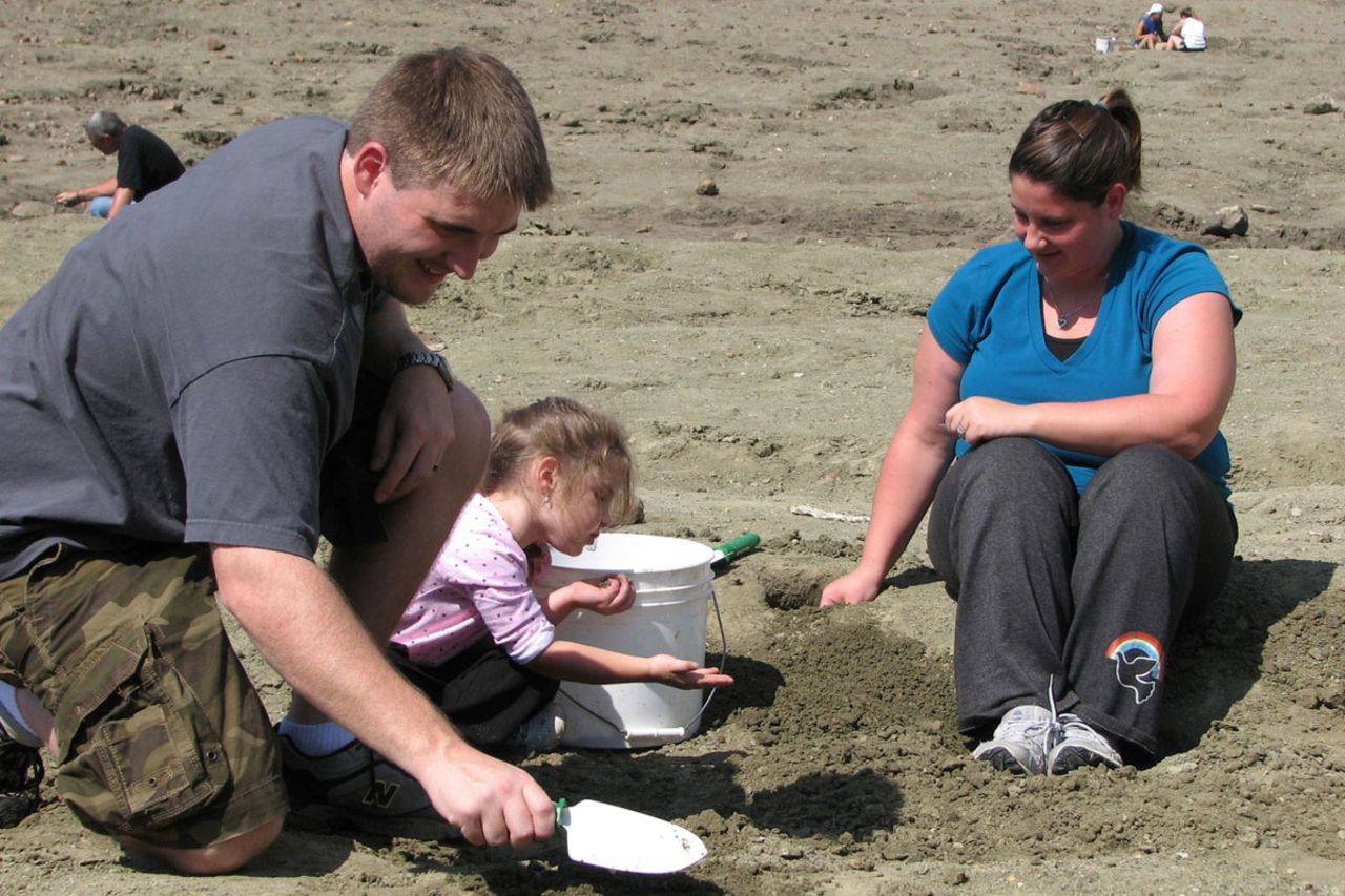 Visitors can search for diamonds in a 37.5-acre plowed field and keep their finds for free. 