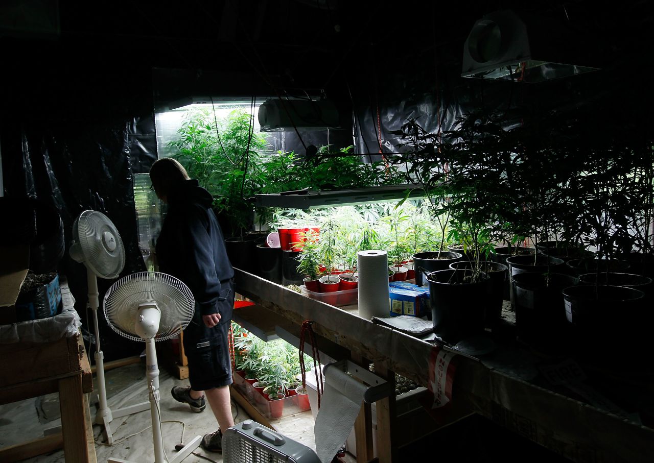 Sonja Gibbins walks through her growing warehouse in Fort Collins, Colorado, on April 19, 2010. Since the state approved medical marijuana in 2000, Colorado has seen a boom in marijuana dispensaries, trade shows and related businesses. So far 20 states and the District of Columbia have made smoking marijuana for medical purposes legal.