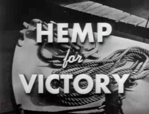 Even after Congress cracked down on marijuana in 1937, farmers were encouraged to grow the crop for rope, sails and parachutes during World War II. The "Hemp for Victory" film was released in 1942 by the U.S. Department of Agriculture.