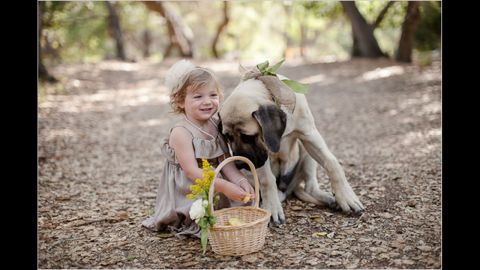 Wedding planners know that children or pets in the wedding ceremony can often steal the whole show.