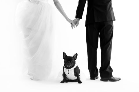 Pets are often the first creature a couple raises together, and stand as an emblem of the couple.