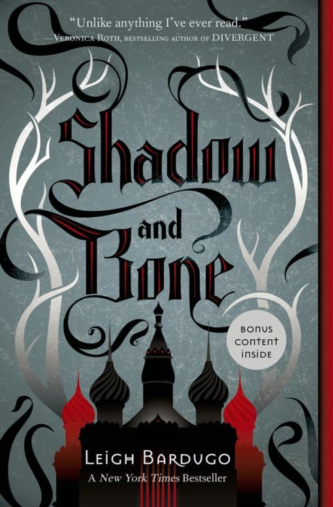 The second biggest comparison? Leigh Bardugo's novel, "Shadow and Bone." "The 'Bone Season' is a story I feel like I've read before in various other fantasy-lite novels, the one that first came to mind being 'Shadow and Bone,'" said <a href="http://thebookgeek.co.uk/318.php" target="_blank" target="_blank">The Book Geek</a>.