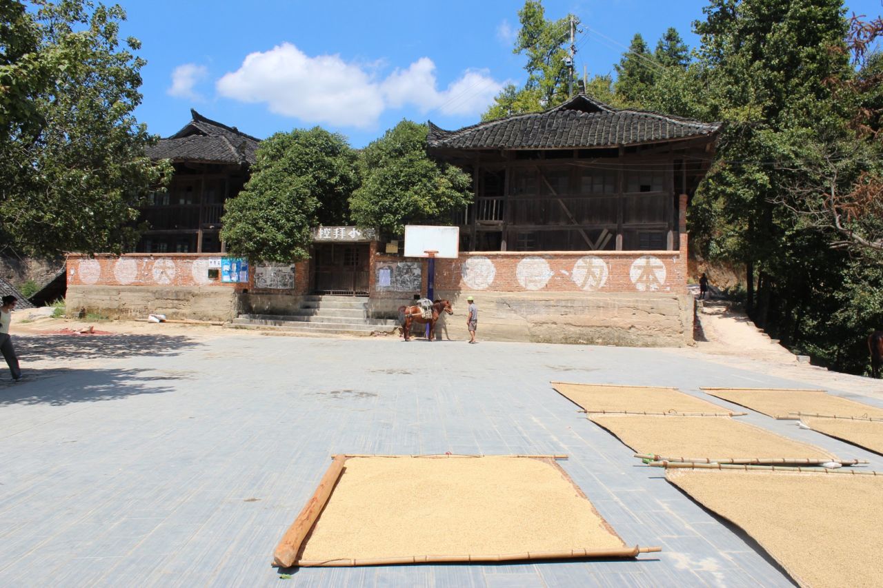 The village, home to the Miao ethnic group, was prosperous in the Qing dynasty but has been in decline since the 20th Century. 