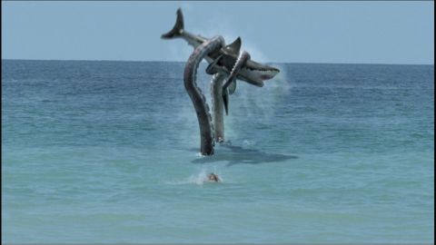 Syfy created a pop culture monster with 2010's "Sharktopus," which featured a genetically engineered creature that was half-shark, half-octopus. It was clearly the next step to take after 2009's "Mega Shark vs. Giant Octopus" battle, which featured an endlessly watchable scene <a href="http://www.youtube.com/watch?v=I16_8l0yS-g" target="_blank" target="_blank">of a plane being attacked by a ridiculously huge shark. </a>