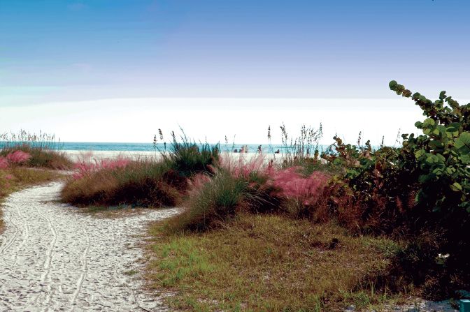 The beaches on the Siesta Key portion of Florida's Gulf Coast are known for their immaculate white sand.