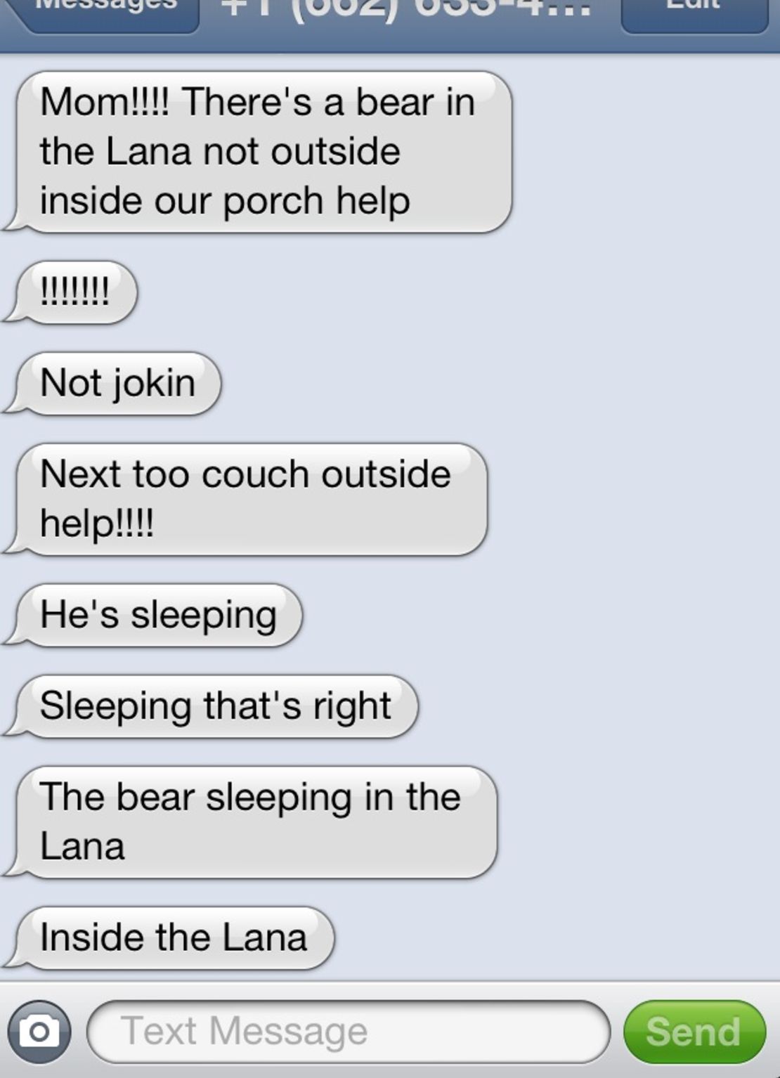 Texts from the family that found the bear napping in their home in Florida.