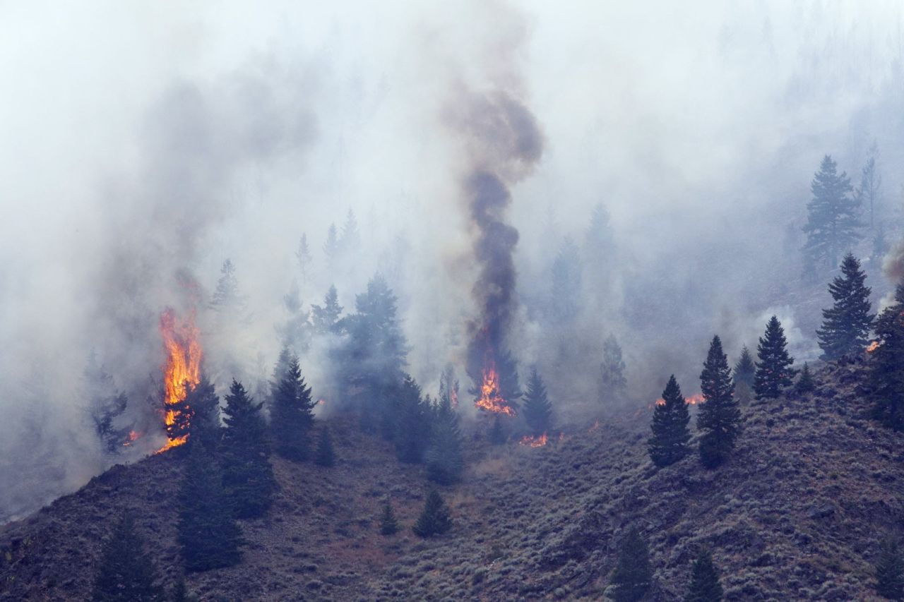 Firefighters continue to battle the fire in the Wood River Valley as it drops down a canyon hillside west of Hailey on August 17.