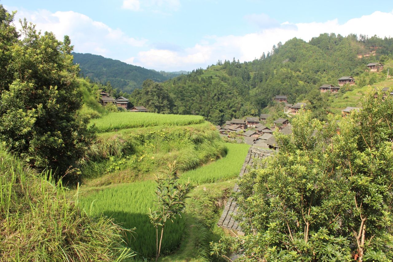 Like most of southern China, rice is a staple crop. Grown on terraced paddy fields that surround Dali, three mu, equivalent to about half an acre, can feed a household.