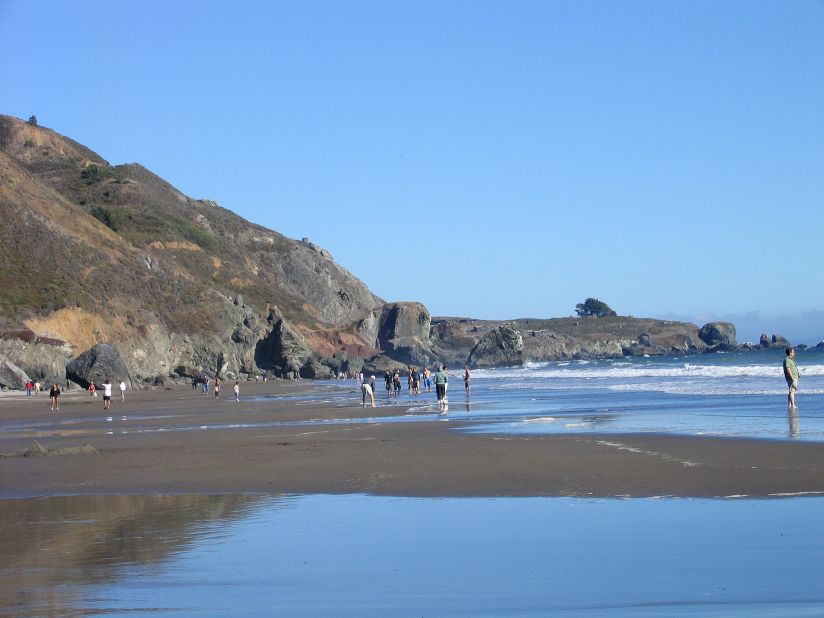 Located in Marin County, the area near Stinson Beach includes Bolinas Lagoon Preserve and Muir Woods.