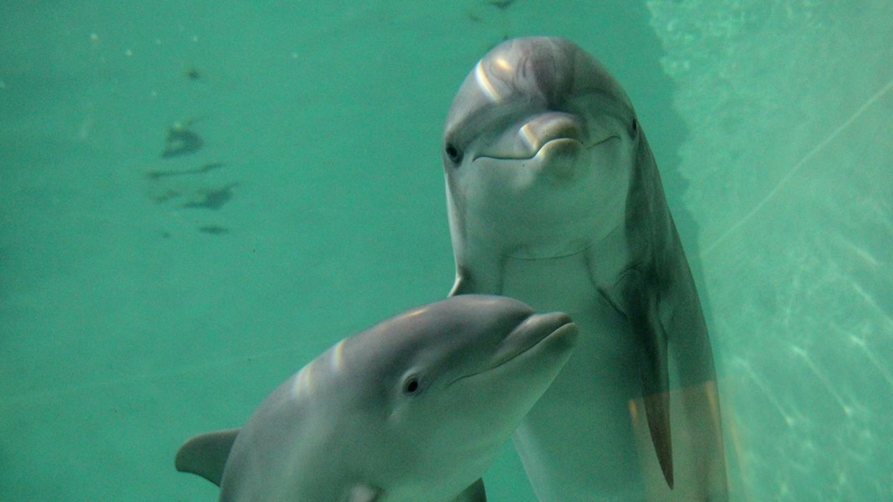 Believe it or not -- that's the face of a predator.