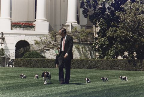 George H.W. Bush walks on the South Lawn of the White House with his springer spaniel Millie and her puppies in 1989. 