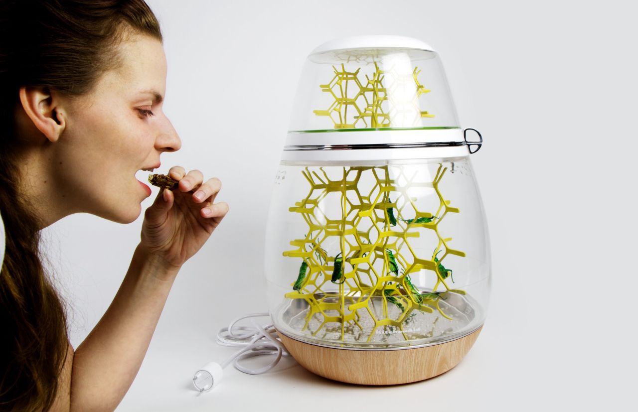 The LEPSIS tabletop grasshopper colony is designed to take the mess out of rearing and harvesting insects for human consumption