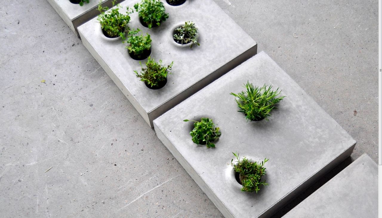 Grey to Green is a simple, low-tech way to break up the monotony of the urban landscape. Paving stones studded with hardy plants bring some greenery to the concrete jungle.