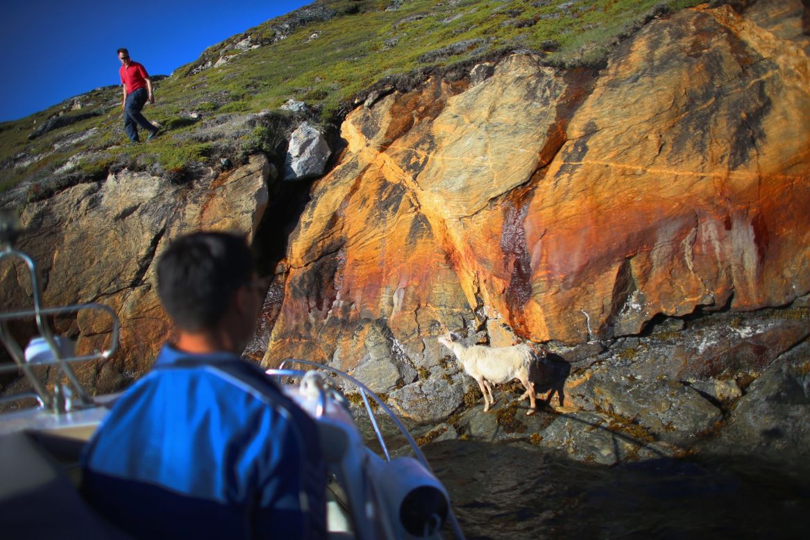 "We're used to change,'' said Greenlander Pilu Neilsen. "We learn to adapt to whatever comes. If all the glaciers melt, we'll just get more land."  Nielsen and his brother Kunuk, piloting the boat, try to capture a goat that became stuck at the bottom of a cliff near the water on the family's farm on July 30 in Qaqortoq.