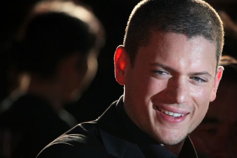 "Prison Break" star Wentworth Miller<a href="http://www.cnn.com/2013/08/21/showbiz/wentworth-miller-comes-out-ew/index.html"> came out</a> after he withdrew from the St. Petersburg International Film Festival in protest of Russia's anti-gay policies. 