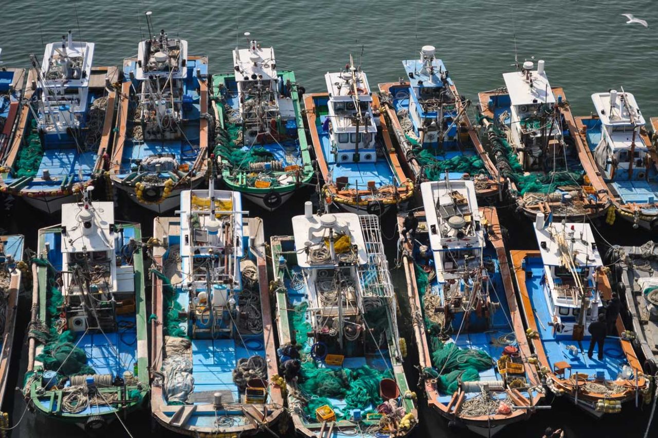 Fishing boats in the harbor -- a common sight.