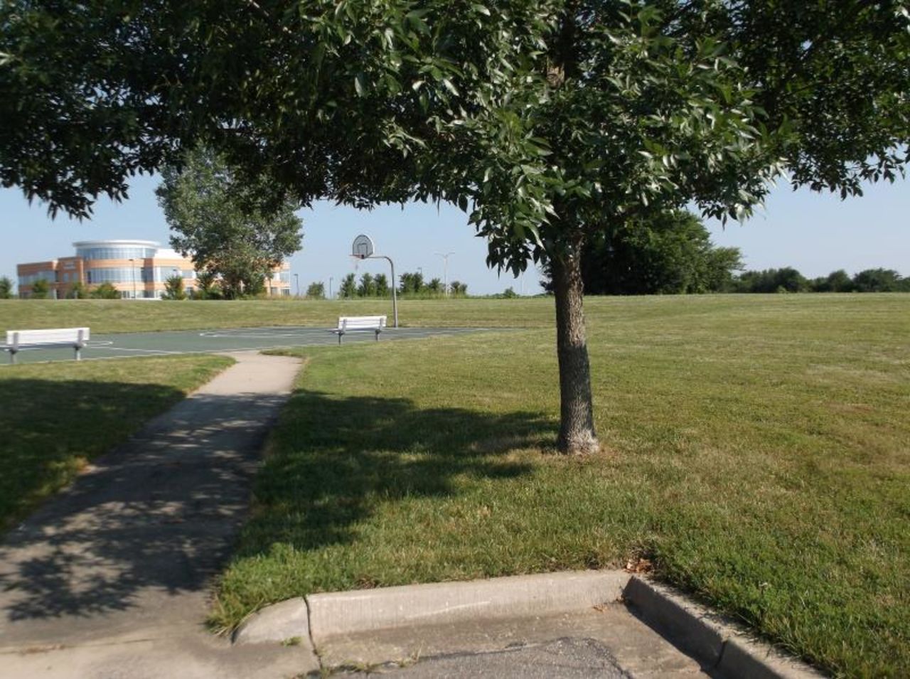 Manley is consistently matter-of-fact about the details of his suicide plan. But it's not  hard to feel chills at this photo he snapped of the exact spot -- under the tree -- where he would take his own life.﻿
