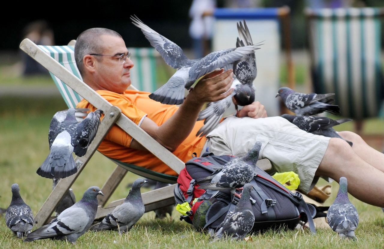 A man enjoys the company of some feathered friends while making the most of London's hot weather on Friday, August 23.