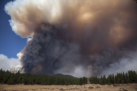 Giant plumes of smoke rise up from the Rim Fire near the border of Yosemite National Park on August 23. 