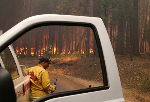 A Cal Fire firefighter monitors the Rim Fire as it burns through a stand of trees near Groveland on August 25. 