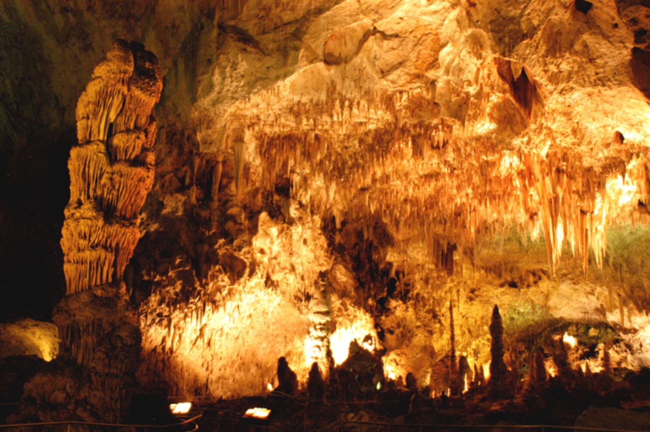Some 230 meters beneath a stand of cactus-studded rocky slopes in New Mexico lies a wonderland of 117 caves formed when sulfuric acid dissolved the surrounding limestone.