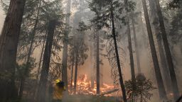 A videographer records the flames burning through trees as the Rim fire continues to menace Yosemite National Park, in California on Tuesday, August 27.
