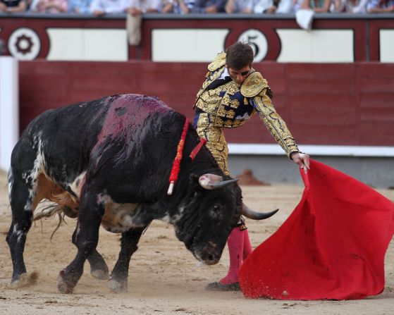 Bullfighting, it must be said, is an acquired taste but, regardless of the rights and wrongs of the discipline, it remains a popular part of everyday Spanish life, particularly in Madrid.