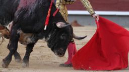 Spanish matador Morante de la Puebla makes a pass to a bull during a bullfighting at the Las Ventas bullring as part of the Arte y Cultura Feria on June 5, 2013 in Madrid. AFP PHOTO/ ALBERTO SIMON (Photo credit should read ALBERTO SIMON/AFP/Getty Images) 