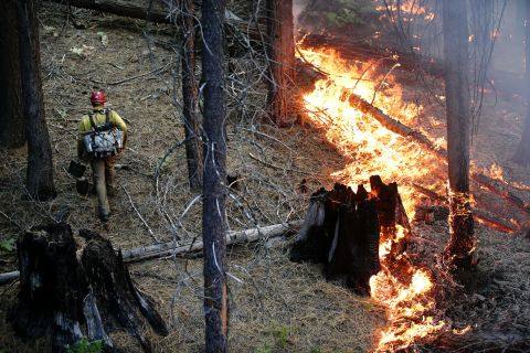 Firefighter Russell Mitchell monitors the situation during the Rim Fire near Yosemite National Park on Tuesday, August 27. 