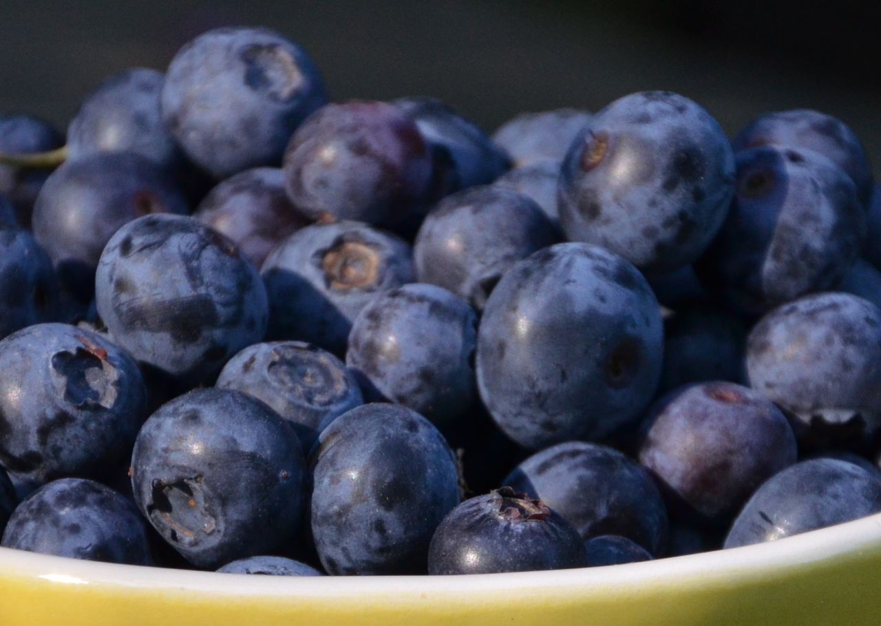 Blueberries have been linked to a host of health benefits, including lowering blood pressure. What's more, researchers at Tufts University say, blueberries improve your memory. 