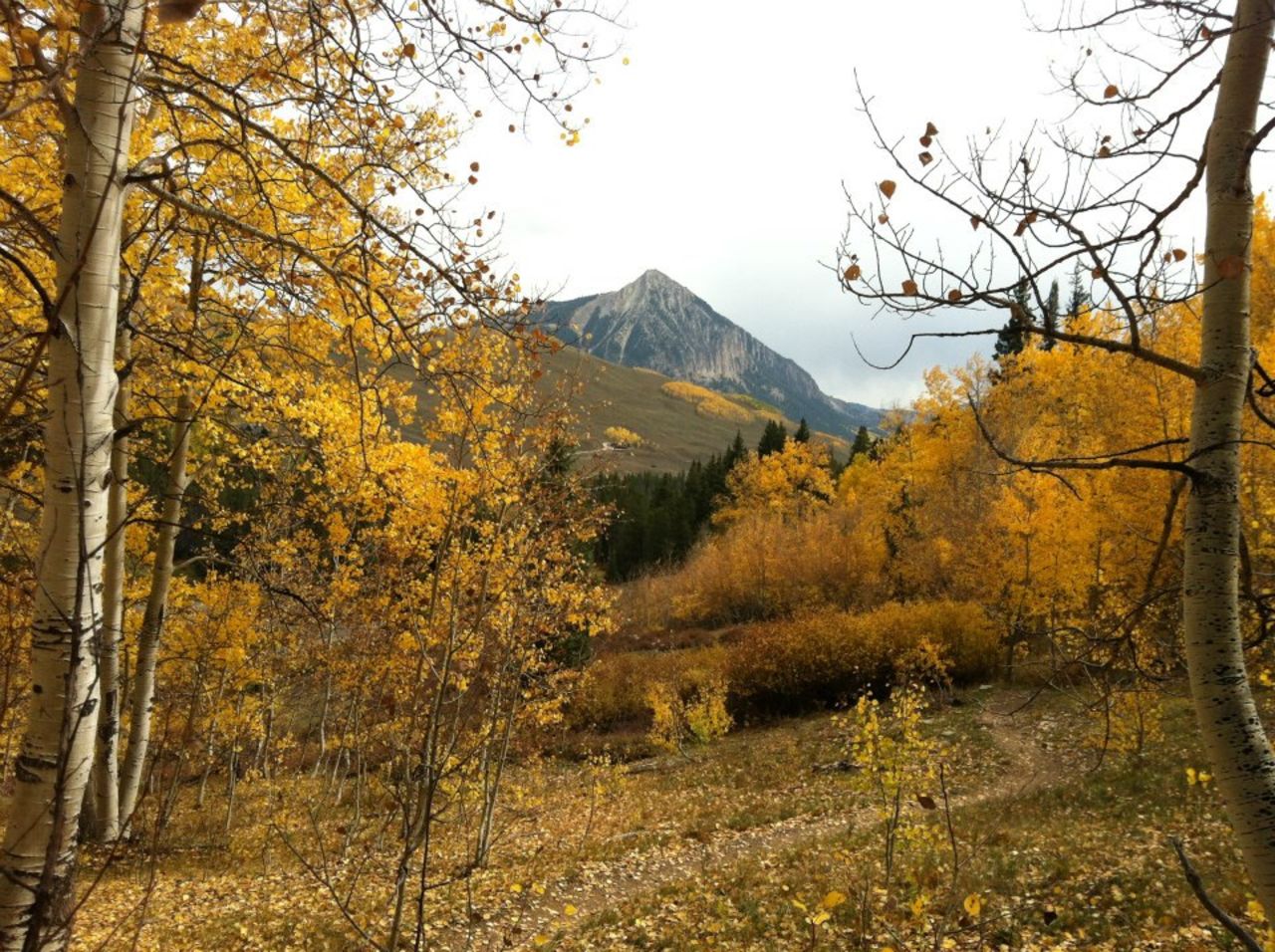 Embrace the great outdoors and push your physical limits along the trails of the Wildflower Capital of the World: <a href="http://www.gunnisoncrestedbutte.com" target="_blank" target="_blank">Crested Butte, Colorado</a>, which is dressed in a blanket of golden aspens each fall. Whether on mountain bike, horseback or on your own two feet, you'll want a camera and plenty of time to soak up the atmosphere. Film buffs can combine adventure with culture September 26-29, at the <a href="http://www.cbfilmfest.org" target="_blank" target="_blank">Crested Butte Film Fest</a>.