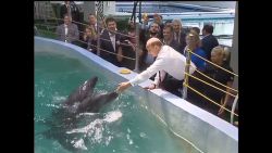 Putin visits the zoo_00000000.jpg