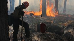 A Hotshot fire crew member rests near a controlled burn operation at Horseshoe Meadows, as crews continue to fight the Rim Fire near Yosemite National Park in California on Wednesday, September 4. The massive wildfire ihas burned over 280,000 acres and is now 80 percent contained according to a state fire spokesman.