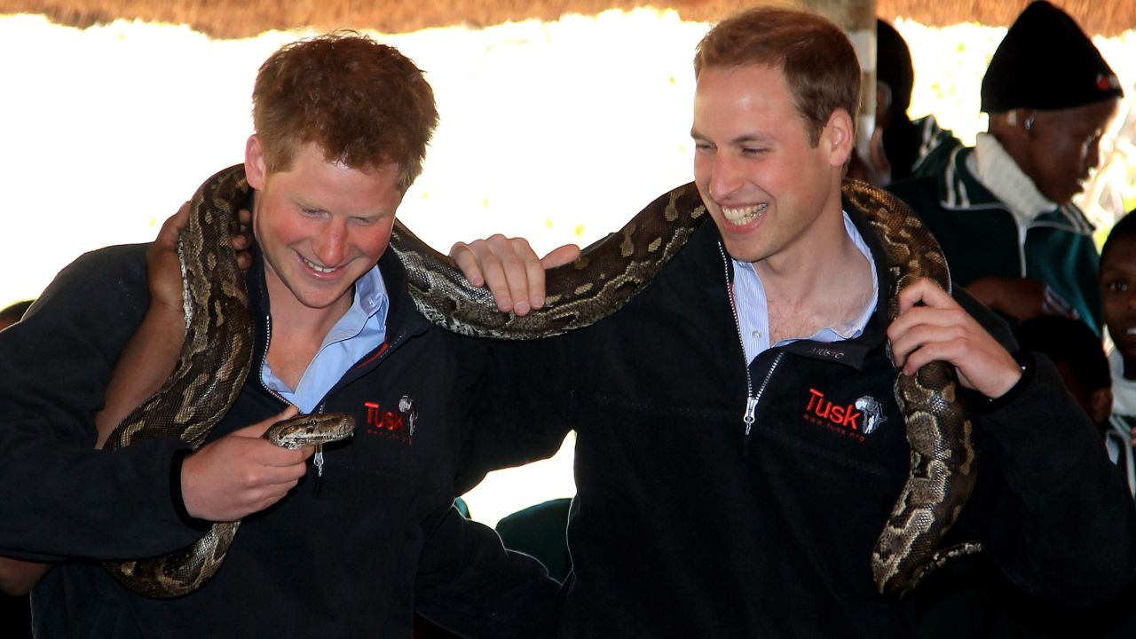 Prince Harry, left, and Prince William hold an African rock python during a visit to Mokolodi Education Centre in Gaborone, Botswana, on June 15, 2010.