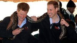 Prince Harry, left, and Prince William hold an African rock python during a visit to Mokolodi Education Centre  in Gaborone, Botswana on June 15, 2010.