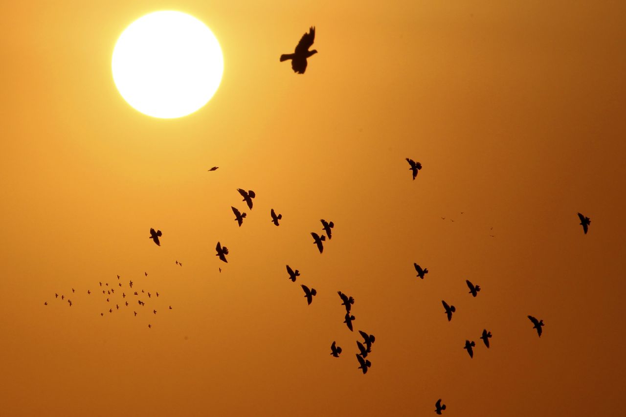Doves, silhouetted against the rising sun, fly over Amman, Jordan, on September 5.