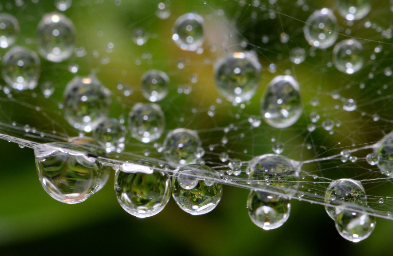 Raindrops hang on a spider web in Petzow, in eastern Germany, on Tuesday, September 3.